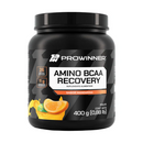 Amino BCAA Recovery 400g