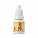 Miel Melipona