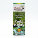 Cardo Mariano