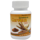 LEVADURA DE CERVEZA JAHVS TB 100.