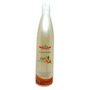 Shampoo con jengibre y canela - Bio&Fem